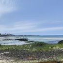 제주시 하도어촌계 | 제주 동쪽 바닷길 다녀온 후기 및 주차방법 [하도리 바닷길]