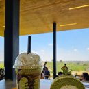 태식농장 | 태국 치앙라이 가볼만한 곳 추천 - 추이퐁 차농장(Choui Fong)