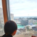 OK-호텔 | 정동진호텔 탑스빌 추천 후기 아이동반 OK 산책, 식당 접근성 좋아요