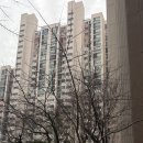 신도림아이파크 | #1. 예비신랑 내집마련 [영등포구 대림 현대 아이파크 3차] 리얼 임장 후기 │서울 7억대 아파트 │