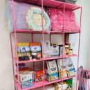 조선생 펫살롱 이미지