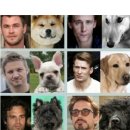 개벤져스 이미지