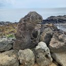 도구리3083 | 제주도 돌고래스팟 추천 코스 및 직접 가본 후기!