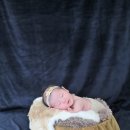 레몬타임스튜디오 이미지