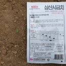 삼산종묘사