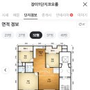 주식회사건축이야기 | [임장기] 장미마을동부코오롱아파트 :: 수인분당선 야탑역 역세권 초품아 재건축투자처