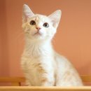 루루호텔 이미지