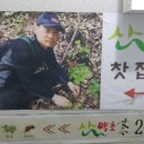 산약초와 한방차 이미지