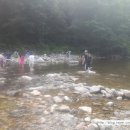 밸마운트 이미지