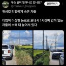 농로 한겨레