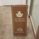 오간식영등포점 | 고양이행동학상담-영등포 캣앤캣 고양이병원 김태협 수의사 후기2(내돈내산)