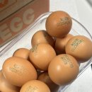 만민농장 이미지