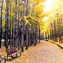 서울숲11 이미지