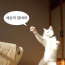 잉 커피(Ing Coffee)