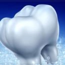 81도치과교정과치과의원 이미지