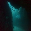 다이브투게더리조트 이미지