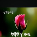 수요일 Daum카페