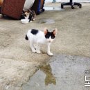 모래실펜션 이미지