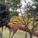 장무공원 화장실 | 울산 동백꽃 명소 MBC문화동산으로 가보자 (23년 3월)