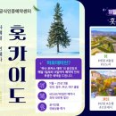데이눈