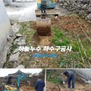 망월길 Daum카페