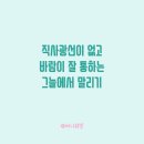 수영세탁 이미지