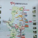 북영덕농협 축산항지점 이미지