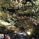 꽃보라미용실 이미지