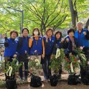 만덕3동-8 이미지