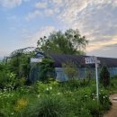 모래벌농장 이미지