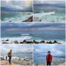 해조하우스 이미지