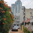 대봉1동주민센터 이미지