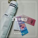 골드피씨 | 양우산 wpc양산 3단우산 내돈내산 후기