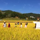 가마실마을 이미지