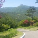 아델스코트CC 네이버블로그