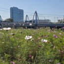 오산생태하천길(삼남길) 이미지