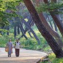 경기도농아인협회 연천군지회 | 2026년 목표: 그동안 안 해본 일 5가지 해보기.