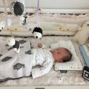 임신부 태교교실 (모루인형 모빌 만들기) | 출산 후 쓰는 태교활동 정리 : 후회할까? 말까?