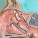 갑산한의원 이미지