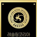 팀헐크레슬링