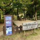 강변연가 | 남이섬 입장권 할인 받는 법 배시간 놀거리 총정리