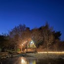 평창축협동물병원 | 강원도 평창 애견동반 숙소 추천 핀란드 사우나 가능한 해발 600m 오두막 스테이