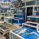 만복농장2 이미지