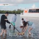 (주)캐치투어