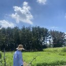 흙사랑 다육식물농원 이미지