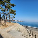 ★제160차 해파랑길 10코스 산행★ 이미지