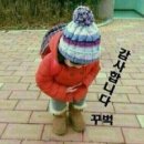 늘 이미지