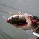 고담낚시터 이미지