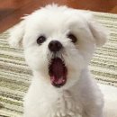 (주)말티 이미지