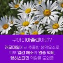 태민약국 이미지